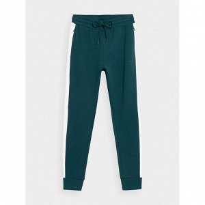 Брюки 4F WOMEN'S SWEATPANTS