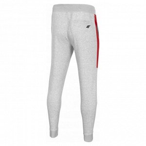 Брюки 4F MEN'S KNITTED TROUSERS
