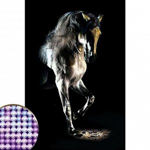 УЦЕНКА Алмазная мозаика с частичным заполнением «Грациозная лошадь» 20х30 см на холсте