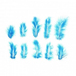 Набор перьев для декора 10 шт., размер 1 шт: 10 ? 2 см, цвет голубой