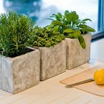 Лучший огород. Консервация, освещение, удобрения, подвязки