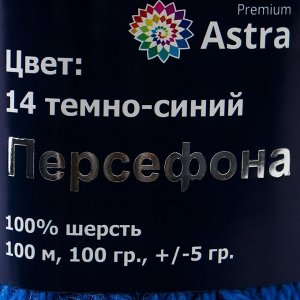 Пряжа Astra Premium 'Персефона' шерсть 100% 100м/100гр (14 темно-синий)