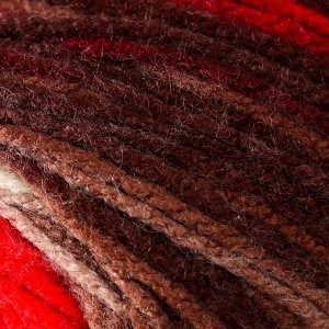 Пряжа для вязания спицами, крючком ALIZE, Burcum batik, 100% акрил, 210 м/100 г, (4574)