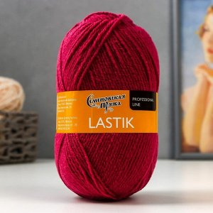 Пряжа Lastik (Ластик) 28% имп.мер.шерсть,69% акрил, 3% эластан 365м/100гр брусн_v2 (70051)