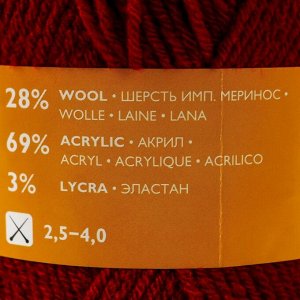 Пряжа Lastik (Ластик) 28% имп.мер.шерсть,69% акрил, 3% эластан 365м/100гр георг_v2 (70215)
