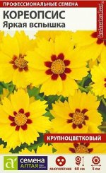 Цветы Кореопсис Яркая вспышка крупноцв./Сем Алт/цп 10 шт. многолетник