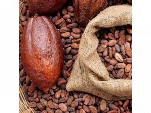 Какао бобы San Tome, Западная Африка, Сан-Томе и Принсипи, 200гр