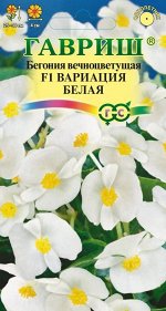 Бегония Вариация белая F1 вечноцв. гранул. 5 шт. пробирка