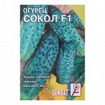 Семена Огурец &quot;Сокол&quot;, F1, 0,2 г
