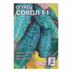 Семена Огурец "Сокол", F1, 0,2 г