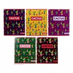 Тетрадь 36 листов в клетку Calligrata &quot;Кактус&quot;, обложка мелованный картон, блок офсет, МИКС