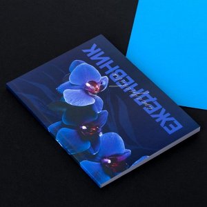 Ежедневник в тонкой обложке А6, 52 листа «Синяя орхидея»
