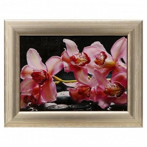 Картина "Розовые орхидеи" 13х18(16х21) см