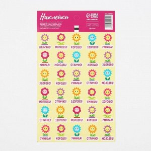 Бумажные наклейки оценки «Цветочки», 10,5 x 18 см