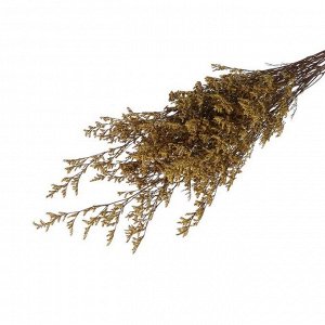 Сухоцвет «Кермек» 130 г, цвет бежевый