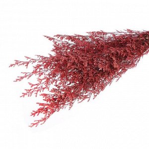 Сухоцвет «Кермек» 130 г, цвет красный