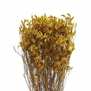 Сухоцвет «Лимониум» 120 г, цвет жёлтый