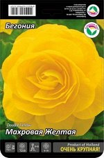 Бегония Махровая крупная Желтая 5/6 3шт (Сиб сад)