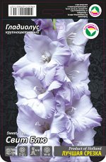Гладиолус Свит Блю 10/12 10шт (Сиб сад)