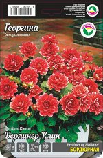 Георгина Берлинер Клин 1шт (Сиб сад)