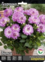 Георгина Битси 1шт (Сиб сад)