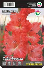 Гладиолус Тедс Фриззл 10/12 10шт (Сиб сад)