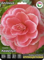 Бегония Камелия 5/6 3шт (Сиб сад)
