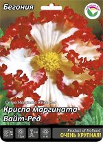 Бегония Криспа Маргината Вайт-Ред 6/7 2шт (Сиб сад)