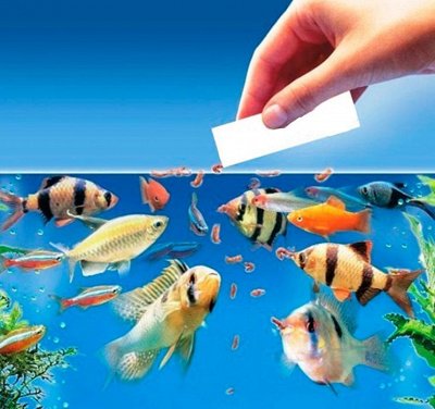 🐠 Мир аквариуМИСТИКИ