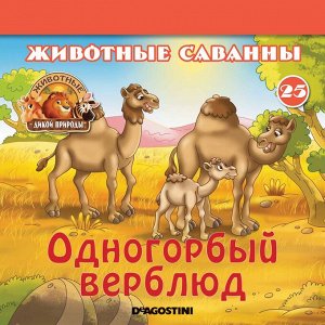 Ж-л Животные дикой природы №25 Животные Саванны+ 1 игрушка 28стр., 200х200х50мм, Мягкая обложка