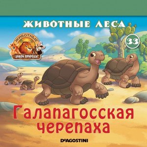 Ж-л Животные дикой природы №33 Животные Леса+ 1 игрушка 28стр., 200х200х50мм, Мягкая обложка