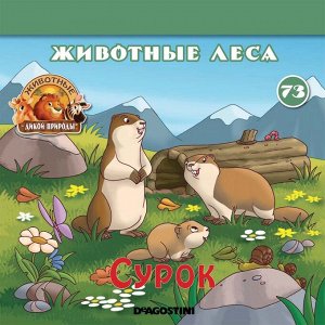 Ж-л Животные дикой природы №74 Животные Леса+ 2 игрушек 28стр., 200х200х50мм, Мягкая обложка