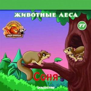 Ж-л Животные дикой природы №77 Животные Леса+ 1 игрушка 28стр., 200х200х50мм, Мягкая обложка