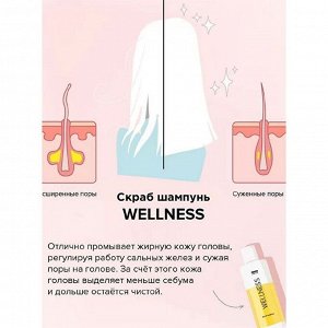 Likato Шампунь-скраб для тонких, жирных волос / Wellness, 750 мл