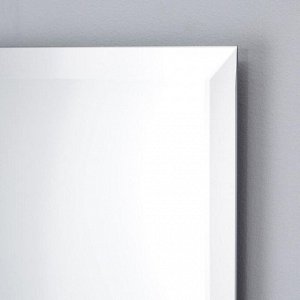 Зеркало с фацетом 5 мм, 60 х 120 см, Evoform
