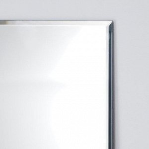 Зеркало с фацетом 5 мм, 60 х 160 см, Evoform
