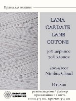 Пряжа для вязания Lanecardate, 100 гр., Nimbus Cloud