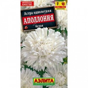 Астра Аполония белая (Аэлита)