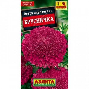 Астра Брусничка (Аэлита)