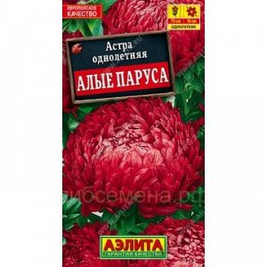 Астра Алые паруса (Аэлита)