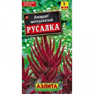 Амарант Русалка темнолистный (Аэлита)