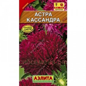 Астра Кассандра (Аэлита)