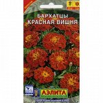 Бархатцы Красная вишня отклон. (Аэлита)