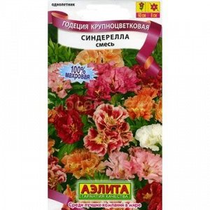 Годеция Синдерелла смесь (Аэлита)