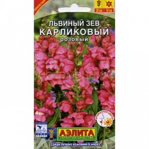 Львиный зев карликовый розовый (Аэлита)