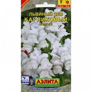 Львиный зев карликовый белый (Аэлита)