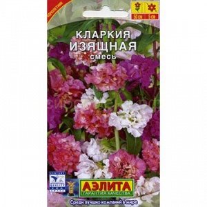 Кларкия изящная (Аэлита)