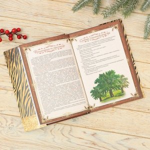 Родословная книга и чайный домик «Большого счастья в Новом году», 28 х 11 х 24 см., набор