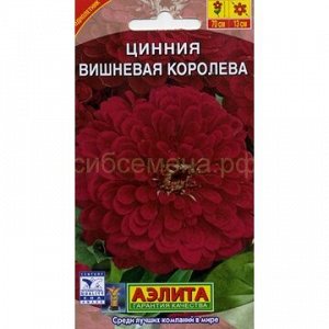 Цинния Вишневая королева (Аэлита)