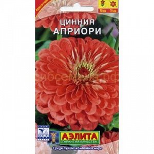 Цинния Априори (Аэлита)